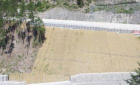 130-1286_Land Tirol - Sofortmaßnahme L219 Serfauserstraße 2019