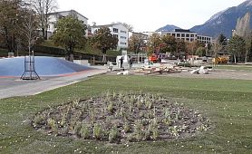 4457_Stadtmagistrat Ibk. - Grünanlagen Andechstraße Grünzug