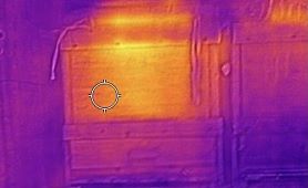 Bienen_04-2021