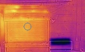 Bienen_04-2021