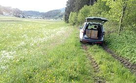 Weltbienentag 2019